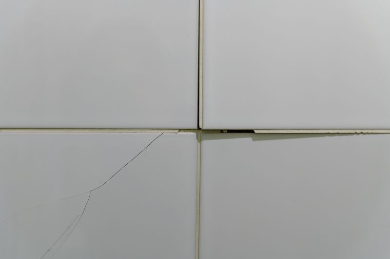 Specialized Tile Repair Teams